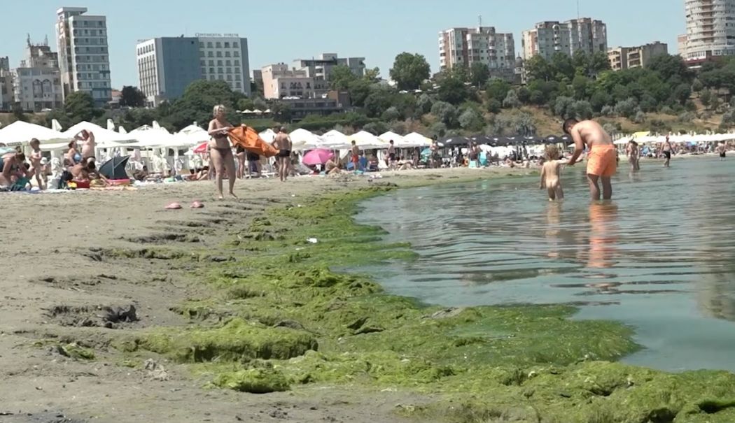 Litoralul...verde. Algele au invadat, din nou, plajele - 1alge-1751896341.jpg