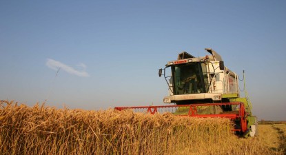Fermierii care nu anunță inundarea culturilor riscă să piardă sprijinul financiar de la APIA - 1d05fc163f40fdf19abbfd8710aff787.jpg