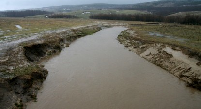 Precipitațiile mixte și poleiul au pus, din nou, stăpânire pe Dobrogea - 1e0ff48875096192d24c66eaf11338d8.jpg
