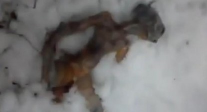 Extraterestrul din Siberia era făcut din pâine - 1eba54600ecb890f82d479187488d4df.jpg