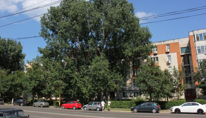 Lipsa spațiului verde încinge spiritele la Constanța - 1fondsesizareplopibulevardul1mai-1340999191.jpg