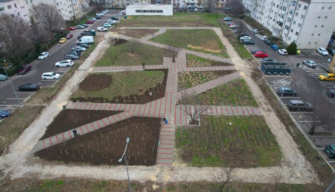 Mini-pădurea urbană din cartierul Inel 2 începe să prindă contur