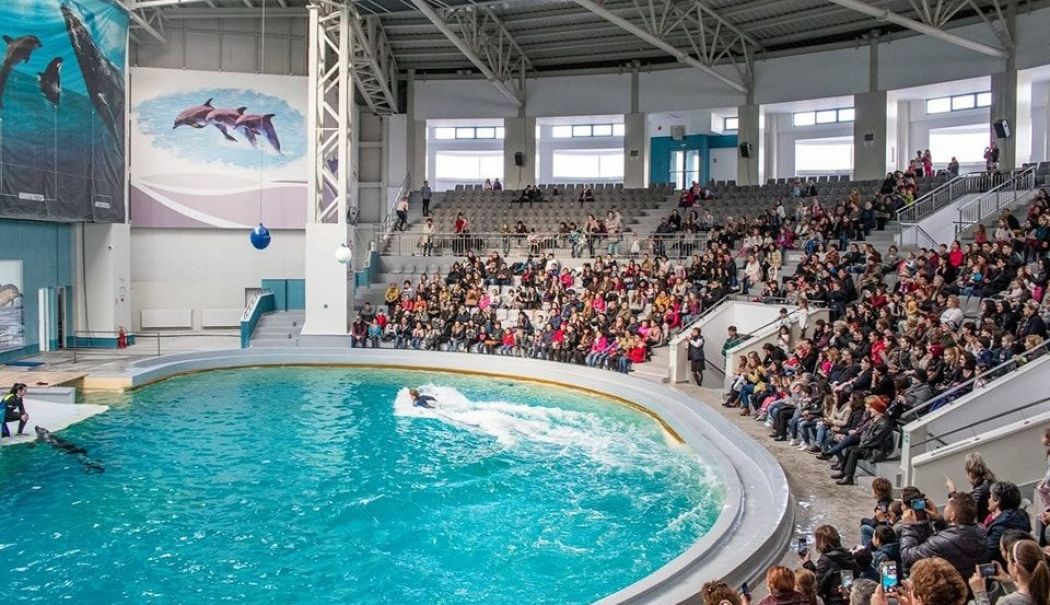 Anchetă DNA la Delfinariu. Se investighează încasările ucrainenilor din spectacole