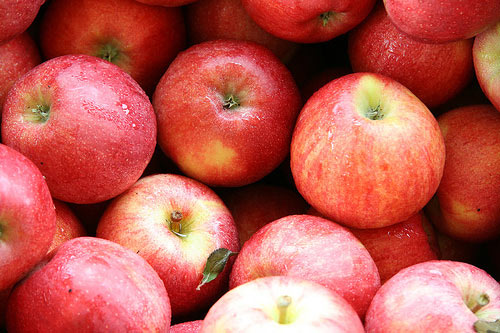 100 de kilograme de mere sunt împărțite astăzi la Sankt Petersburg - 20080926apples-1318582925.jpg