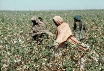 Descinderi la o rețea de călăuze de emigranți - 20091221migrantiii-1345836214.jpg
