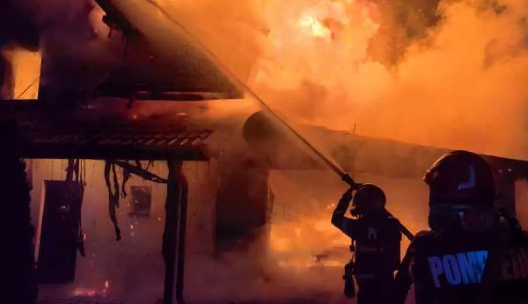 100 de canari au murit în urma incendiului care a distrus o casă din localitatea Băiceni - 20251226120345806196-1766748542.webp