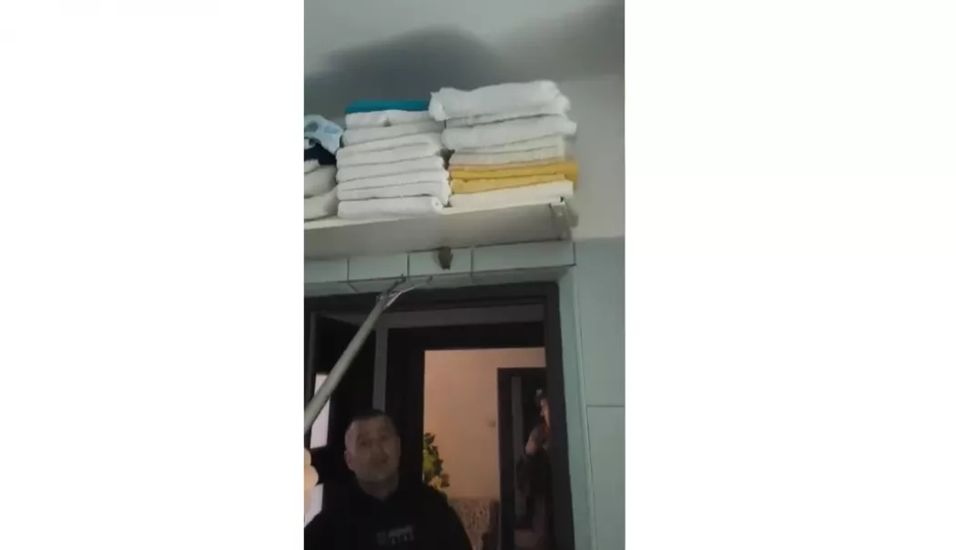 Liliac capturat de jandarmi într-un imobil din Constanța. Animalul a fost eliberat în siguranță - 20251230-1767110529.webp
