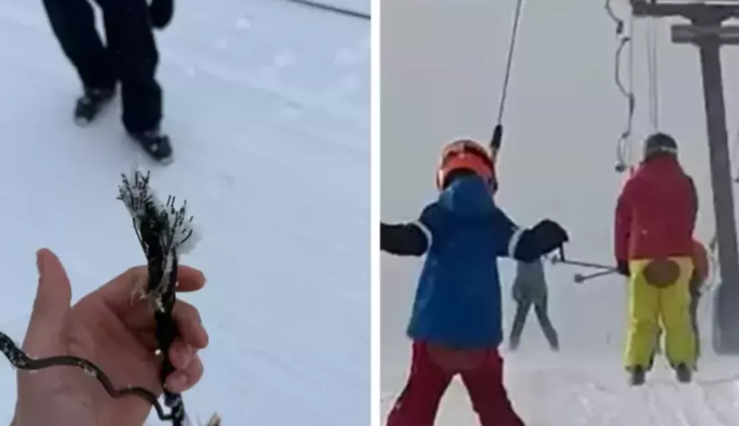 Momente de groază pe pârtie. Un cablu de teleschi s-a rupt, doi copii au fost răniți - 20260201-1769935541.webp