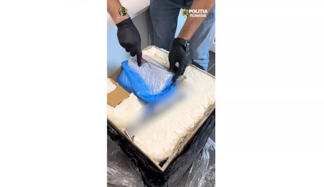 Peste 11 kilograme de droguri aduse din Spania, descoperite de DIICOT la Constanța