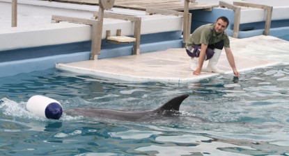 Bazinul descoperit de la Delfinariul Constanța va purta numele Mark - 202d02c7ae1a7627830a66a20afb5544.jpg