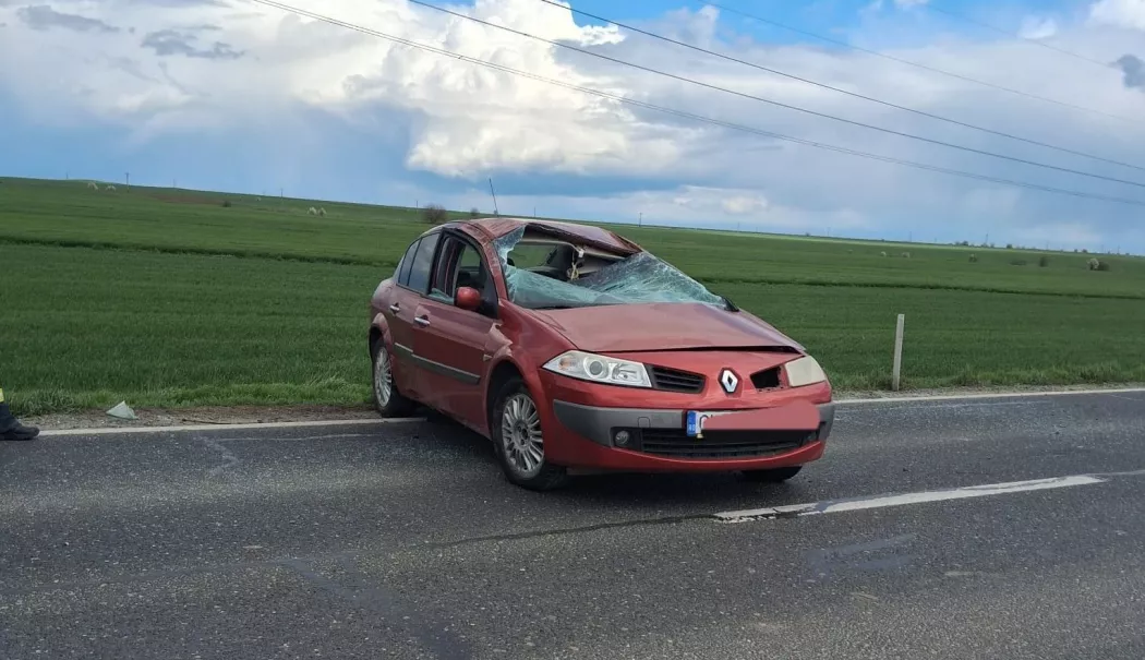 UPDATE Accident rutier între localitățile Lumina și Sibioara. Trei pisici au fost salvate