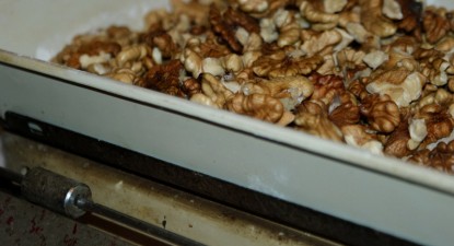 Dulceață din miez de nuci - 21c4d74ccdfc49284eeac9667f4ab8ab.jpg