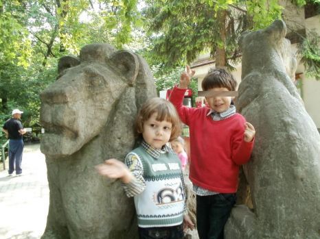 Ancheta în cazul băiețelului ucis de maidanezi a fost finalizată. Vezi cine a fost trimis în judecată - 21martieionutomoratmaidanezidosa-1395393405.jpg