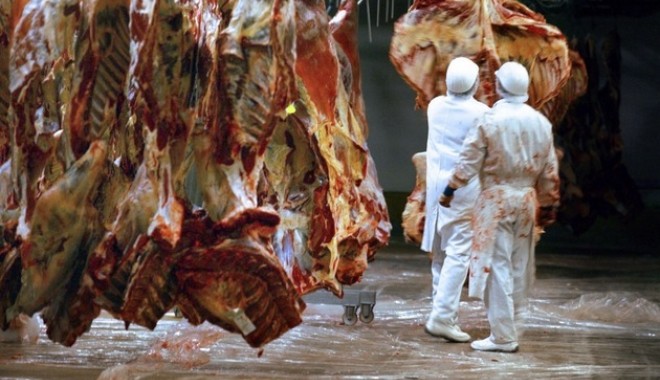 Scandalul cărnii de cal / România va avea o linie verde unde să se anunțe tăierile ilegale de carne - 2204589afpmediafaxfotofrankperry-1360966597.jpg