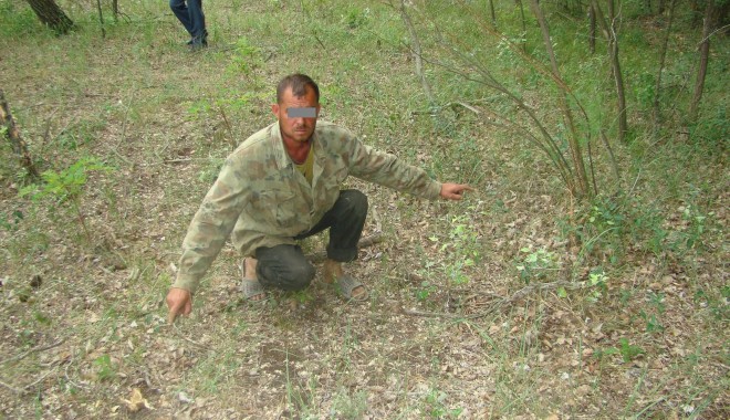 Polițiștii de frontieră îi caută pe cei care taie Pădurea Letea - 22maicopacitaiatipadurealetea1-1337677329.jpg
