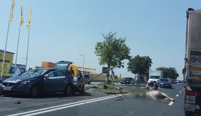 GRAV ACCIDENT RUTIER LA CONSTANȚA. CĂRUȚĂ SPULBERATĂ DE UN AUTOTURISM! - 23august-1499847019.jpg