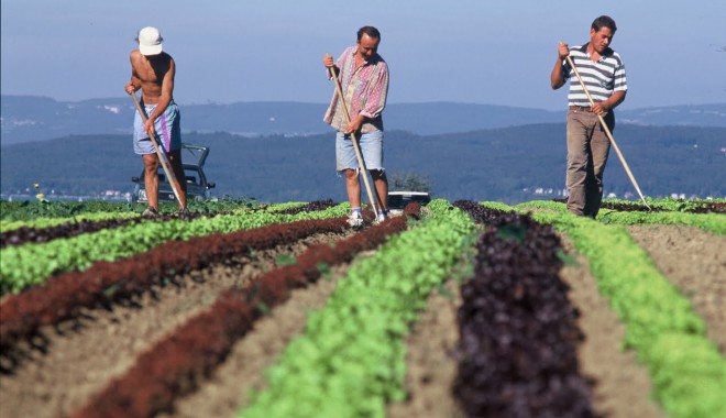2,5 miliarde euro pentru fermierii români - 25miliardeeuropentrufermierii-1392222130.jpg