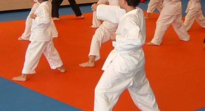 Karate de Cupa Campionilor - 2685e06135430bf8e58da9c94f8e89bb.jpg