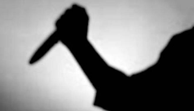 Adolescent anchetat în libertate pentru înjunghiere - 27februarieetnobotaniceinjunghie-1425044604.jpg