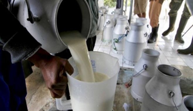 Crește producția internă de lapte, dar și importul - 28000074158730269469521818831875-1518355487.jpg