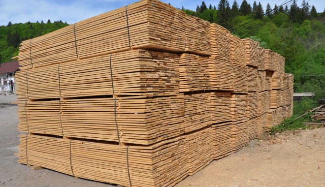 Prețurile de bază pentru cherestea rașinoase exportată din Rusia în Europa în 2013 - 2831611-1395408827.jpg