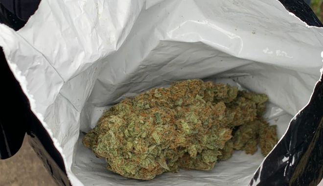 CAPTURĂ DE PROPORŢII! 25 de kilograme de cannabis şi şase persoane reţinute în urma unor percheziţii la Constanţa - 28aprdroguri1-1619611460.jpg