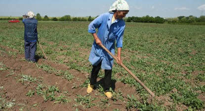 Fermierii constănțeni au făcut coadă la fondurile structurale - 28ecbe93b9475010a8ce196dd1b91795.jpg