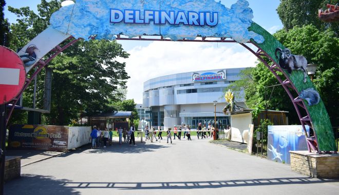 Se reabilitează zona de taxiuri de la Delfinariu! - 28febrconsiliulocaldelfinariu-1582886196.jpg