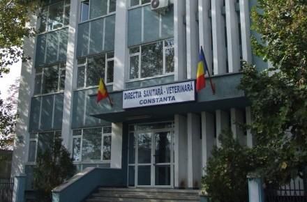 Ce spun șefii DSV Constanța despre medicul acuzat că lua mită de la navele din portul Constanța - 28ianuariedsvdespremediculanchet-1390913380.jpg