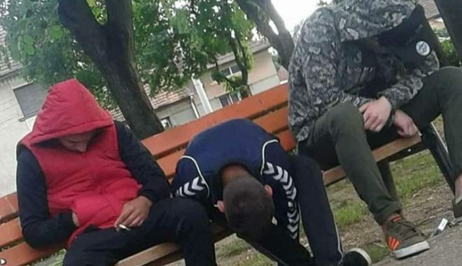 FENOMENUL 