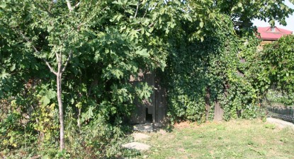 Bărbatul care trăiește în casă cu șarpele boa va fi amendat de polițiști - 2a2e53b0e0820da8e791a8534038fe26.jpg