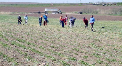 Agricultorii constănțeni 