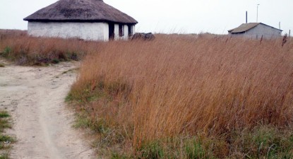Titlurile de proprietate de la Corbu au intrat în vizorul DNA - 2d879a9dc61db834e7597d21c9f65101.jpg