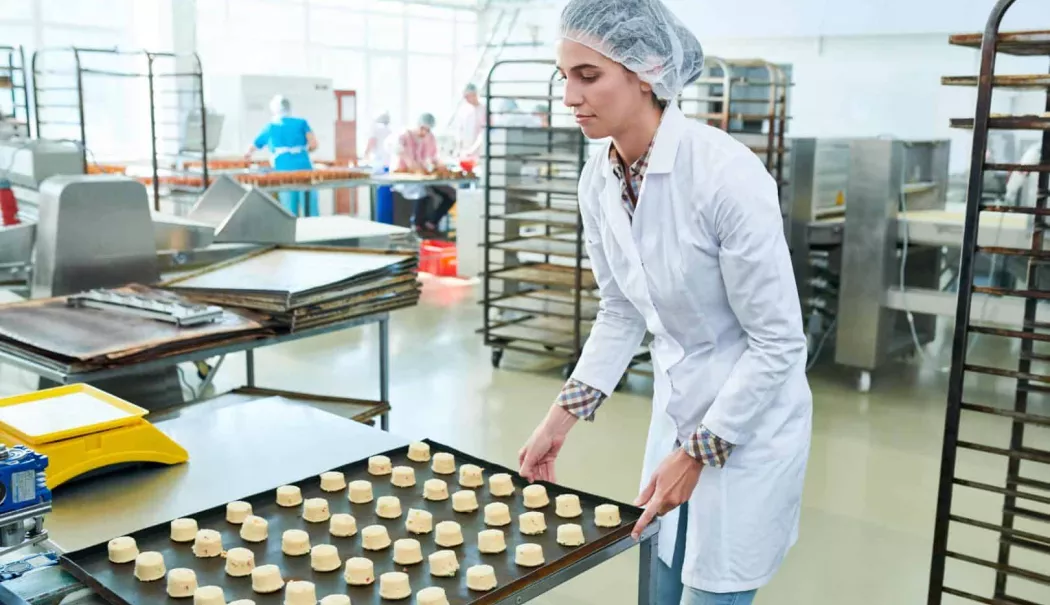 O nouă sesiune de finanțare pentru procesarea alimentelor. Ce investiții pot fi făcute - 2dotarelaboratorcofetarielaborat-1765877441.webp