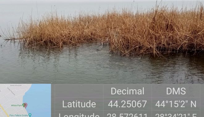 Garda de Mediu Constanţa: „Apa Lacului Siutghiol nu este poluată!” - 2f5000f505764bd9a9d014ed5c038066-1615390363.jpg