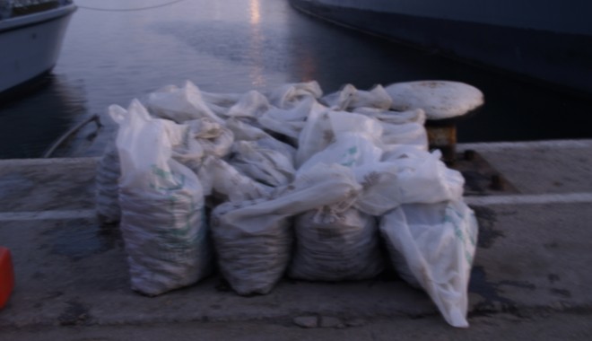 O tonă de melci de mare confiscată la Constanța - 3-1371809737.jpg