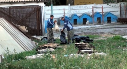 Eutanasierea - un mijloc de a ține Biobaza aproape goală (galerie foto) - 300f831677bc6170a1163cf4c4b375bd.jpg