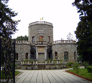 Doliu la Castelul Iulia Hașdeu. S-a sinucis la 50 de ani - 300pxs5300024hasedu-1545489886.jpg