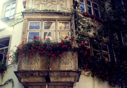Trucuri pentru un balcon și o grădină cochete - 30986928540516814722422889857713-1332749235.jpg