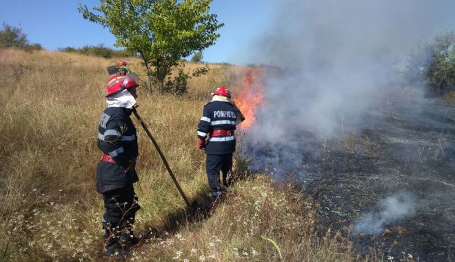 INCENDIU DE PROPORȚII, în miez de noapte, la Gârliciu: AU ARS ZECI DE HECTARE DE STUF! - 30martincendiugarliciu-1617091822.jpg