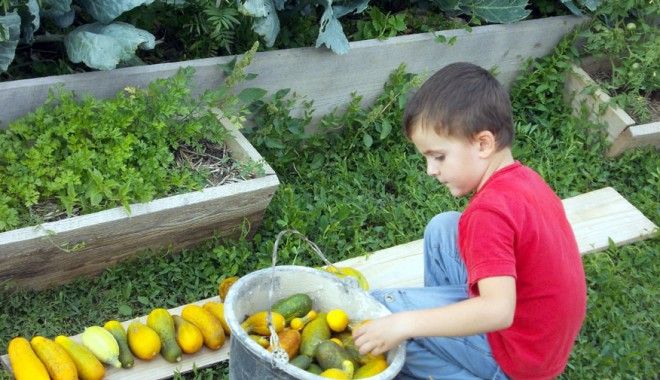 Grădinăritul în luna octombrie - 30septgradinarit-1380537949.jpg