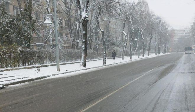 AVERTISMENTUL PRIMĂRIEI CONSTANȚA: ”Evitați adăpostirea sau trecerea prin apropierea copacilor, stâlpilor, panourilor publicitare” - 32931456372919876872084041983673-1675517087.jpg