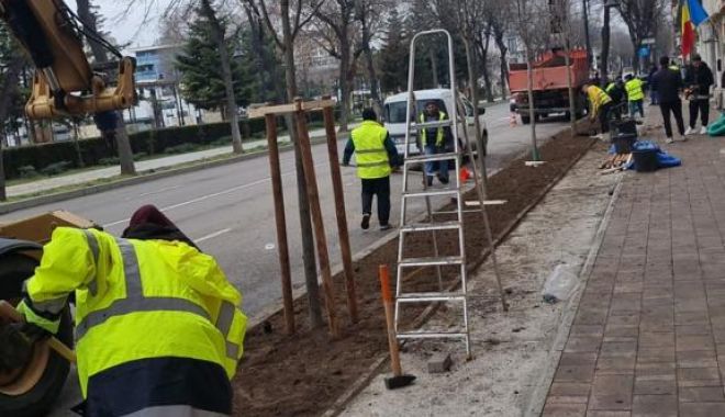Primăria Constanţa, amendată de Garda de Mediu pentru tăierea unor copaci - 33724811190928359365540330357771-1680075209.jpg