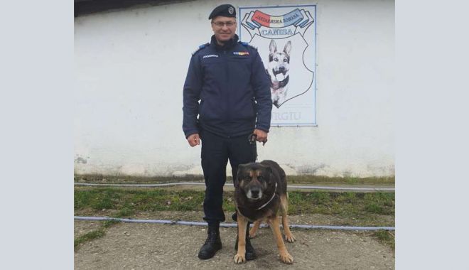 Câinele PAM, din cadrul Inspectoratului de Jandarmi a ieșit la pensie - 34057299188520526591259123987727-1681392799.jpg