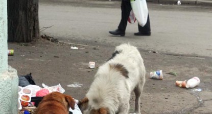 Mizeriile Constanței - 350701caecccf8509c271c6e4d554044.jpg