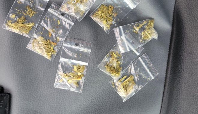 Dealeri prinși cu zeci de pliculețe cu ETNOBOTANICE. Au fost ARESTAȚI! - 3520445cc19d40779a43632ed6cc3c2e-1632986442.jpg