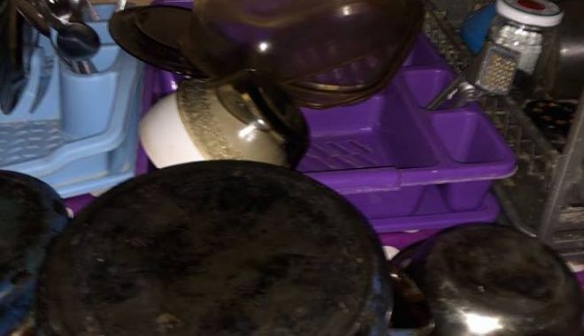 GALERIE FOTO-VIDEO / IMAGINI DE GROAZĂ în bucătăria patiseriei din incinta Colegiului Național 