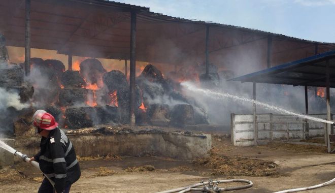 GALERIE FOTO - VIDEO / Incendiu de proporții în județul Constanța! - 35785590193130474356011651373696-1529570751.jpg