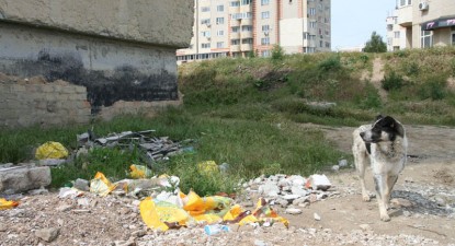 Mizeriile Constanței - 35b1120b266bba424223325f1e53efa4.jpg