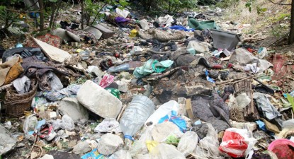 Curat infect, monșer, pe strada București! - 35e7d0aa2baea7448e384bb1d05df06a.jpg